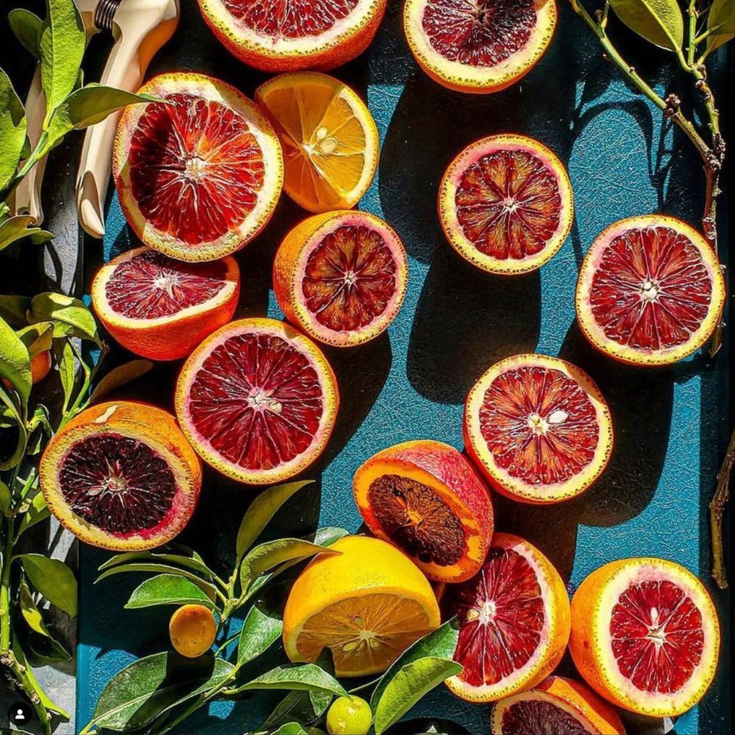 The reBoard Cutting Board - Deep Teal